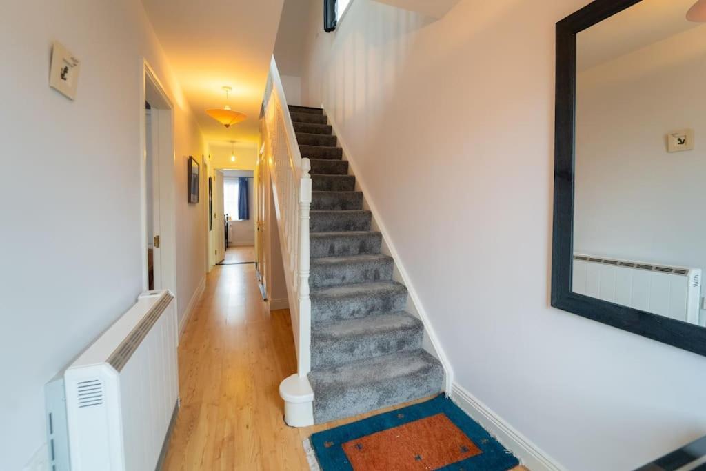 The Haven Dingle, Self Catering Accommodation Dış mekan fotoğraf